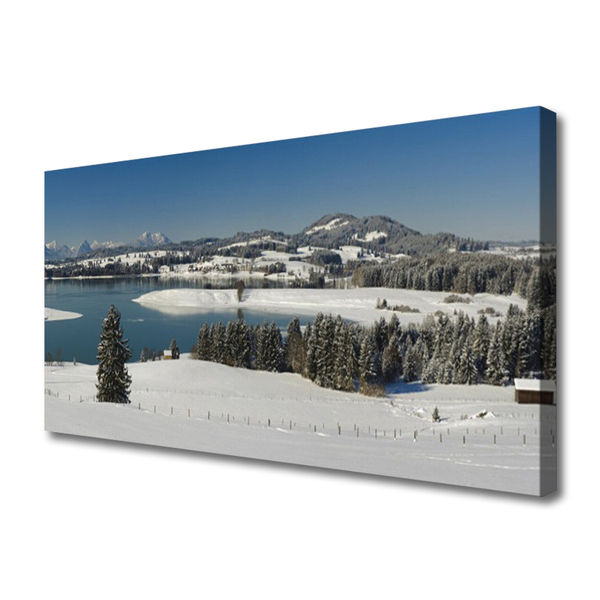 Obraz Canvas Jazero sneh príroda hory