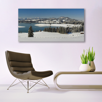 Obraz Canvas Jazero sneh príroda hory