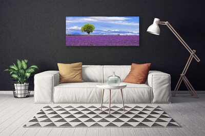 Obraz Canvas Pole levanduľa strom príroda