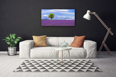 Obraz Canvas Pole levanduľa strom príroda