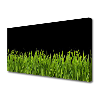 Obraz Canvas Zelená tráva príroda