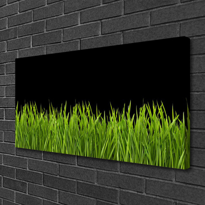 Obraz Canvas Zelená tráva príroda