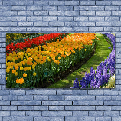 Obraz Canvas Kvety záhrada tulipány