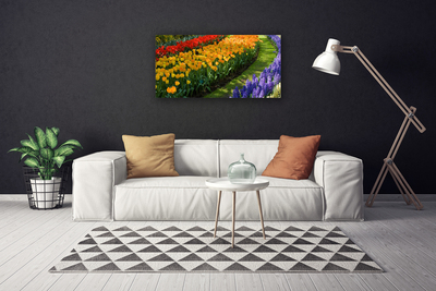 Obraz Canvas Kvety záhrada tulipány