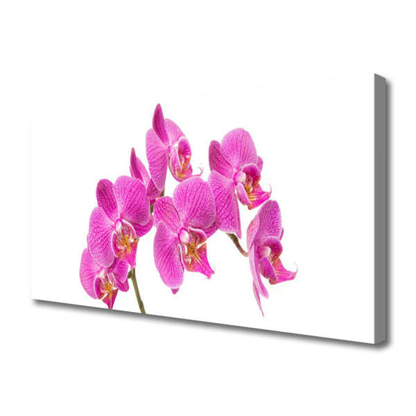 Obraz Canvas Orchidea kvety príroda