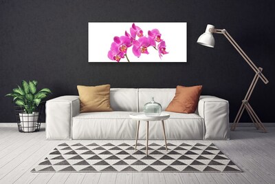 Obraz Canvas Orchidea kvety príroda