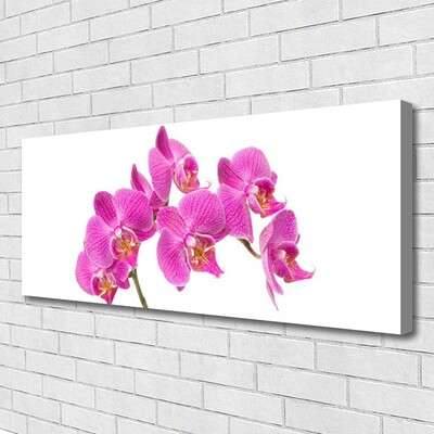 Obraz Canvas Orchidea kvety príroda