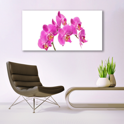 Obraz Canvas Orchidea kvety príroda