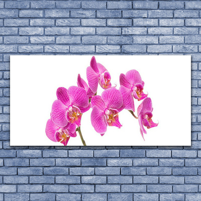 Obraz Canvas Orchidea kvety príroda