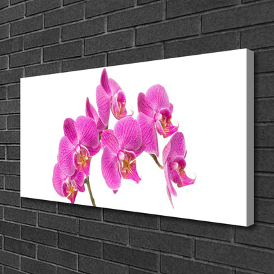 Obraz Canvas Orchidea kvety príroda