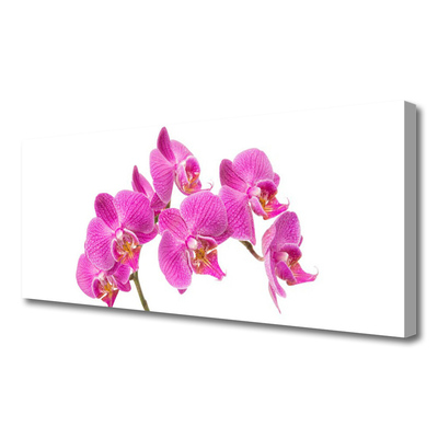 Obraz Canvas Orchidea kvety príroda