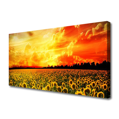 Obraz Canvas Lúka slnečnica kvety