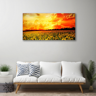 Obraz Canvas Lúka slnečnica kvety
