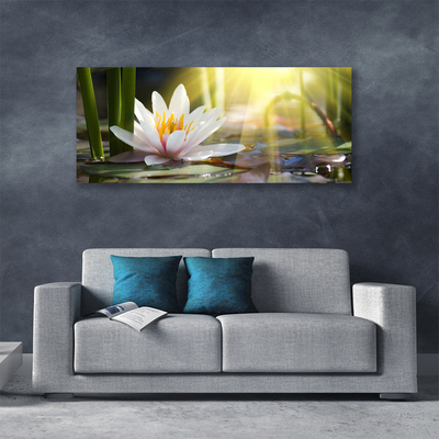 Obraz Canvas Vodné lilie slnko rybník