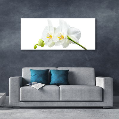 Obraz Canvas Plátky kvet bíla orchidea