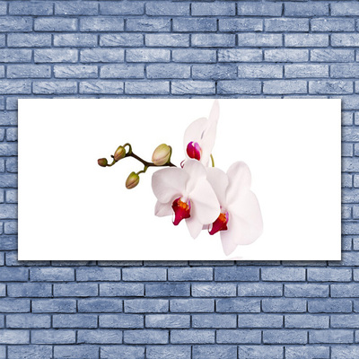 Obraz Canvas Kvety príroda orchidea