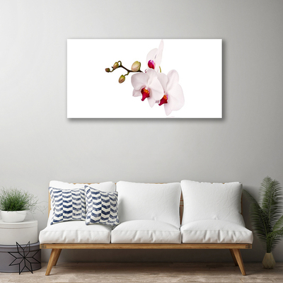Obraz Canvas Kvety príroda orchidea