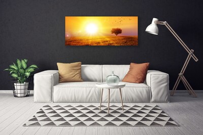 Obraz Canvas Západ slnka lúka plátky