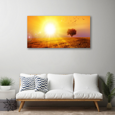 Obraz Canvas Západ slnka lúka plátky