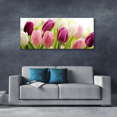Obraz Canvas Tulipány kvety príroda lúka