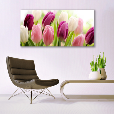 Obraz Canvas Tulipány kvety príroda lúka