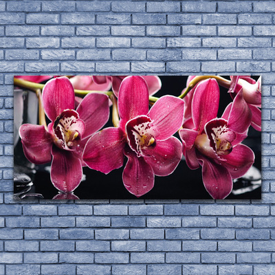 Obraz Canvas Kvety orchidey výhonky príroda