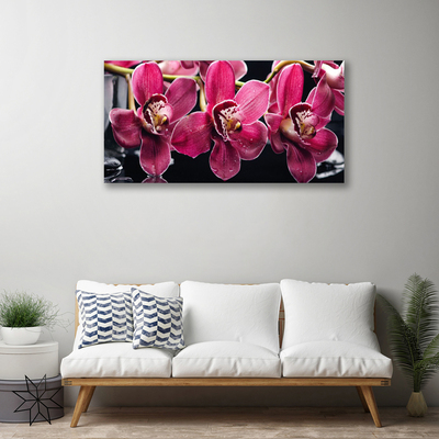 Obraz Canvas Kvety orchidey výhonky príroda