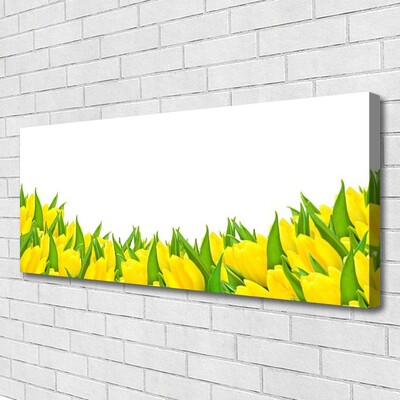 Obraz Canvas Kvety príroda tulipány