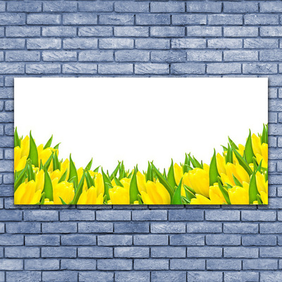 Obraz Canvas Kvety príroda tulipány