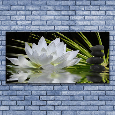 Obraz Canvas Kvety kamene zen voda