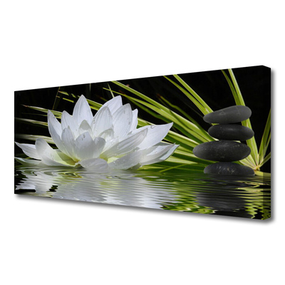 Obraz Canvas Kvety kamene zen voda