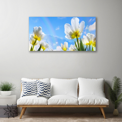 Obraz Canvas Rastliny kvety tulipány