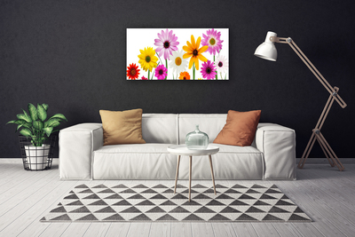 Obraz Canvas Farebné kvety príroda