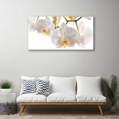 Obraz Canvas Orchidea kvety príroda