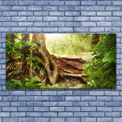 Obraz Canvas Strom kmeň príroda les