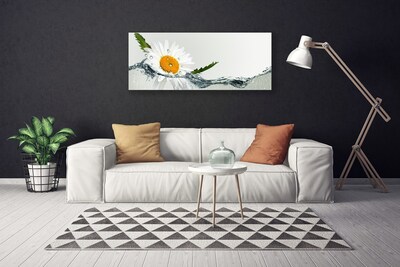 Obraz Canvas Sedmokráska vo vode