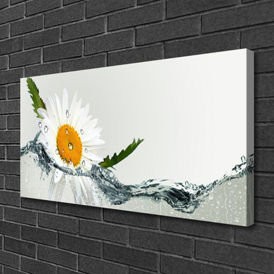 Obraz Canvas Sedmokráska vo vode