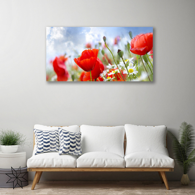 Obraz Canvas Maky sedmokrásky kvety