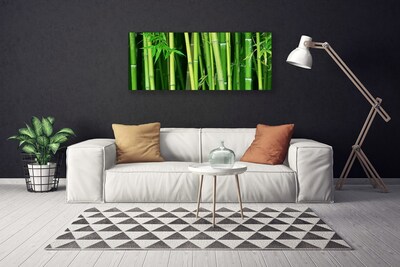 Obraz Canvas Bambusový les bambus príroda