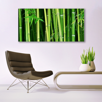 Obraz Canvas Bambusový les bambus príroda