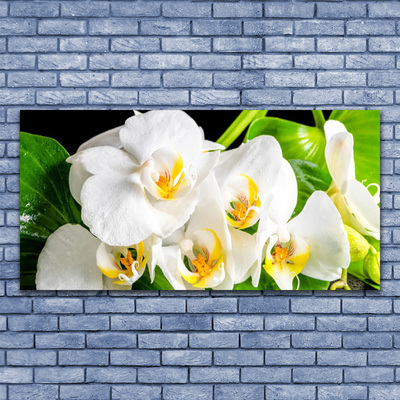 Obraz Canvas Orchidea kvety príroda