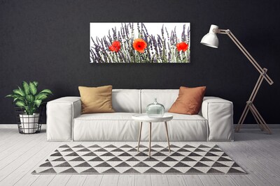 Obraz Canvas Kvety maky pole trávy