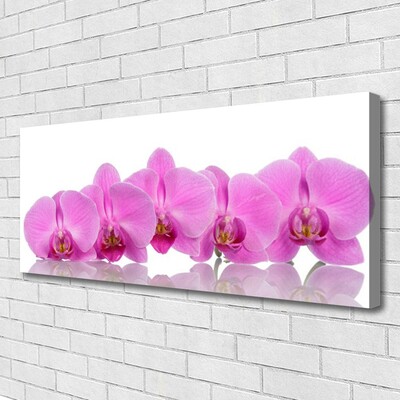 Obraz Canvas Ružová orchidea kvety