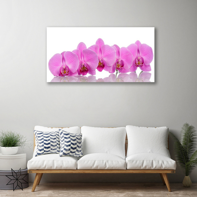 Obraz Canvas Ružová orchidea kvety