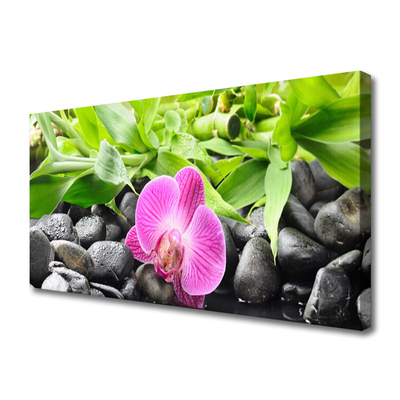 Obraz Canvas Kvety orchidea kamene zen