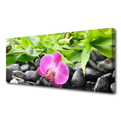 Obraz Canvas Kvety orchidea kamene zen