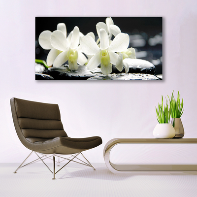 Obraz Canvas Kamene kvety orchidea