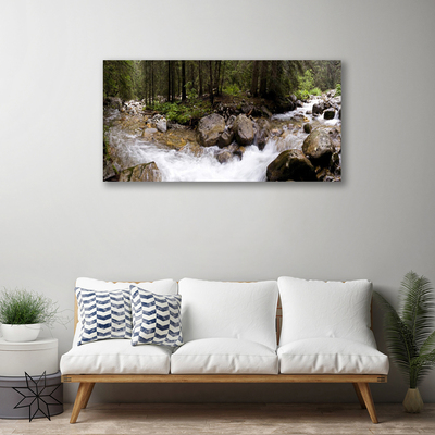 Obraz Canvas Les rieka vodopády