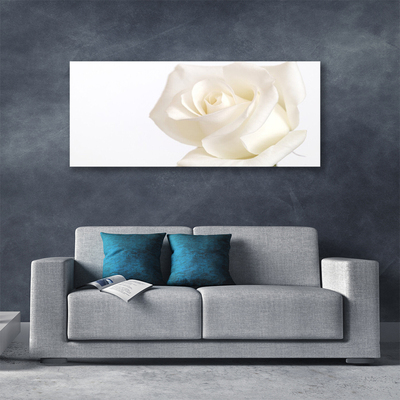 Obraz Canvas Ruže kvety