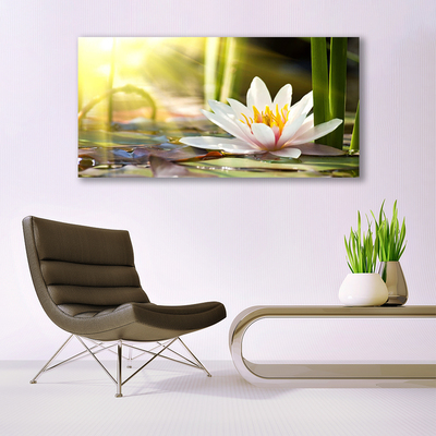 Obraz Canvas Kvet vodné lilie